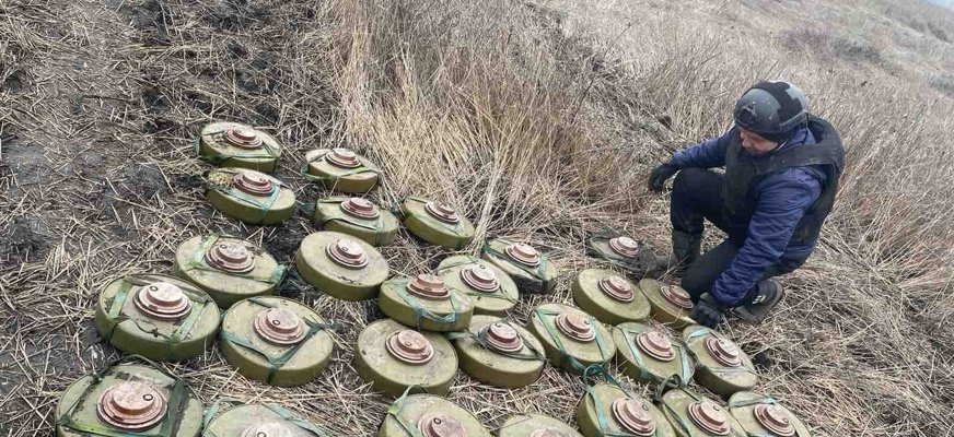En person med skyddsväst och hjälp med ett stort antal landminor på ett fält i ukrainska Kharkiv Oblast.