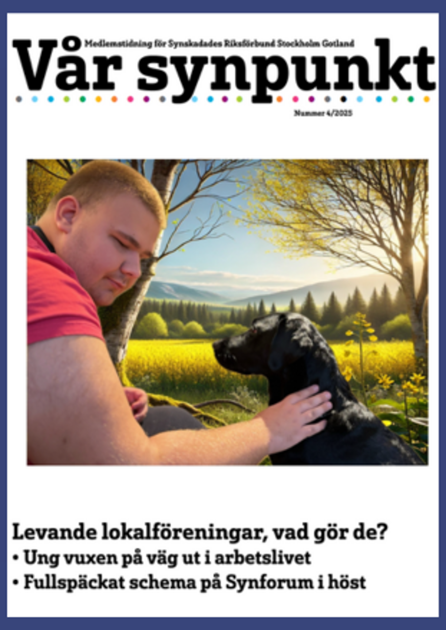 Omslagsbild av Vår Synpunkt nr 4, 2025. På framsidan syns en man till vänster, iklädd en kortärmad röd tröja. Han sitter utomhus tillsammans och håller sin ena hand på sin svarta ledarhund. I bakgrunden ser man den blåa himlen, en gul äng, träd och större kullar. Text på nedre delen av omslaget lyder: Levande lokalföreningar, vad gör de? Efter den texten följer två punktmeningar. Ung vuxen på väg ut i arbetslivet. Fullspäckat schema på Synforum i höst.