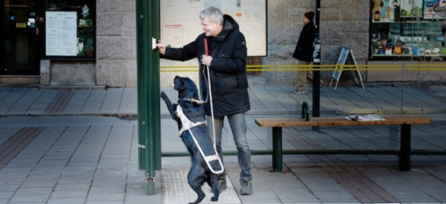 En man och ledarhund står i en busskur