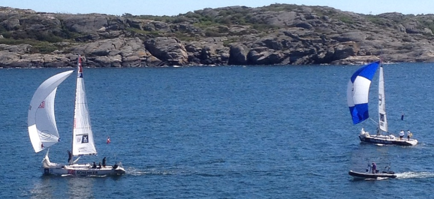 Segelbåtar på ett blått hav