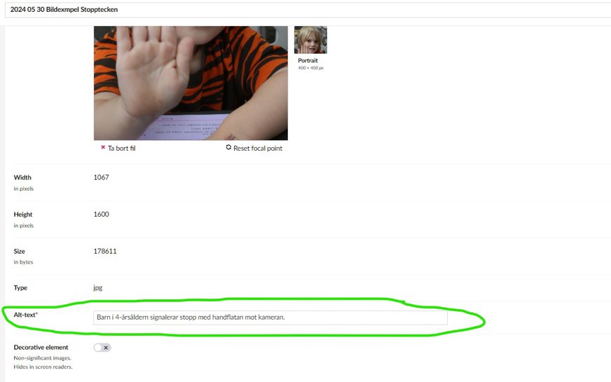 Skärmklipp redaktörsvy i Umbraco. Mediearkivet, fältet "Alt-text*" inringat i grönt.