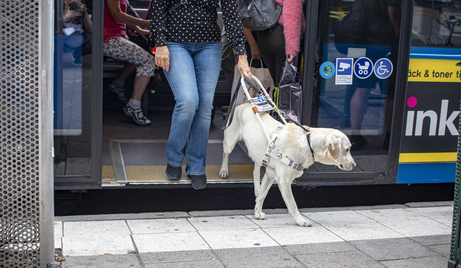 Person med ledarhund går av buss