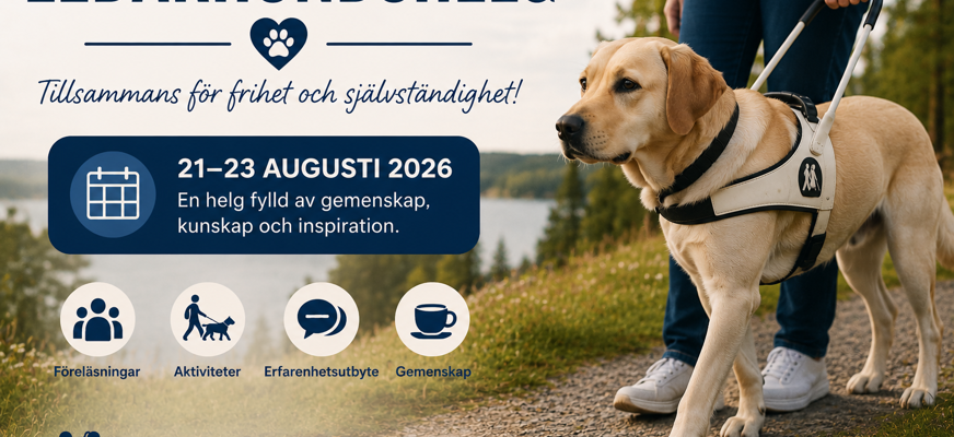 En vit labrador med sele går på en stig där sjö finns i bakgrunden. Rubrik på bilden är Ledarhundshelg och information om vilka dagar det är