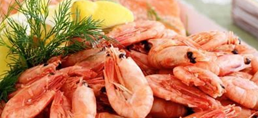 Bilden visar en stor hög med oskalade räkor, en dillkvist och citroner i bakgrunden.