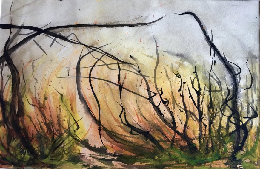 En abstrakt akvarellmålning som antyder ett naturlandskap, kanske en skog eller ett snår. Mörka, svepande linjer liknar grenar eller kvistar och skapar rörelse mot en bakgrund av varma jordtoner – gult, orange och grönt. Penseldragen är uttrycksfulla och flytande, med stänk och färgskiftningar som ger djup och textur. Helhetsintrycket är organiskt och dynamiskt, med en känsla av växtlighet och liv.