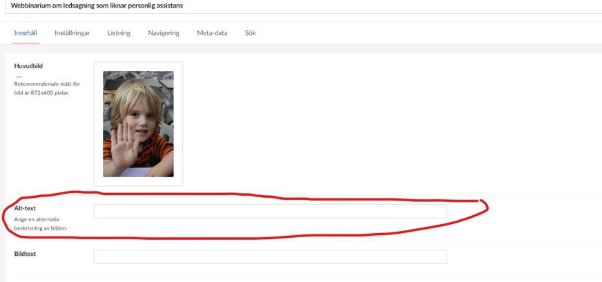 Skärmklipp redaktörsvy i Umbraco. Sidtypen "kalender", fältet "Alt-text*" inringat i rött är tomt.