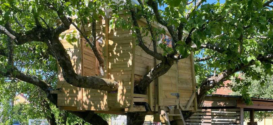 En stege leder upp till en trädkoja i ett stort äppelträd. Solen skiner genom grenarna, som är fulla av gröna blad.