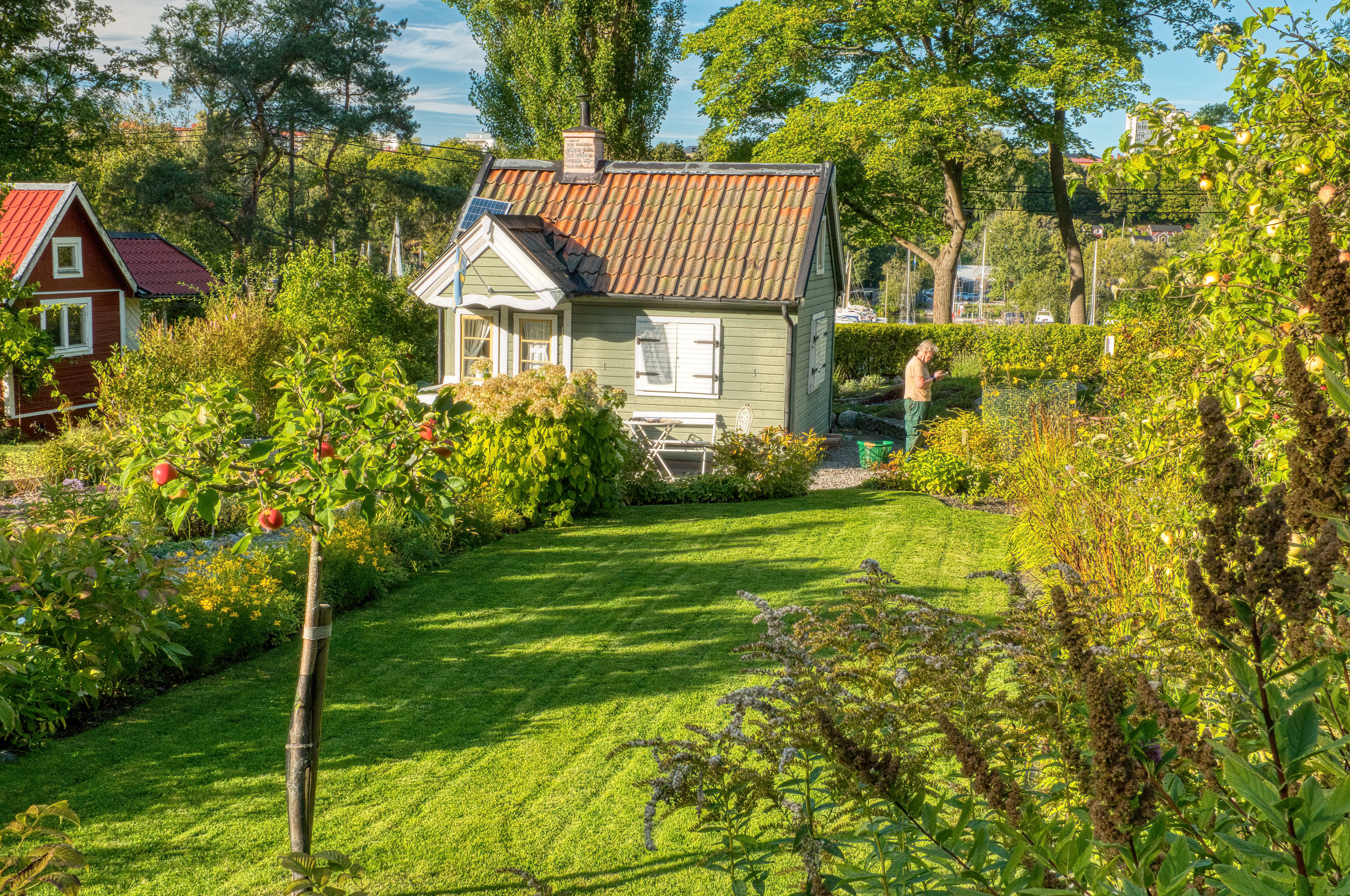 En man påtar i trädgården utanför ett litet grönt hus. Trädgården är lummig och har äppelträd, nyklippt gräsmatta och massor av blommor.