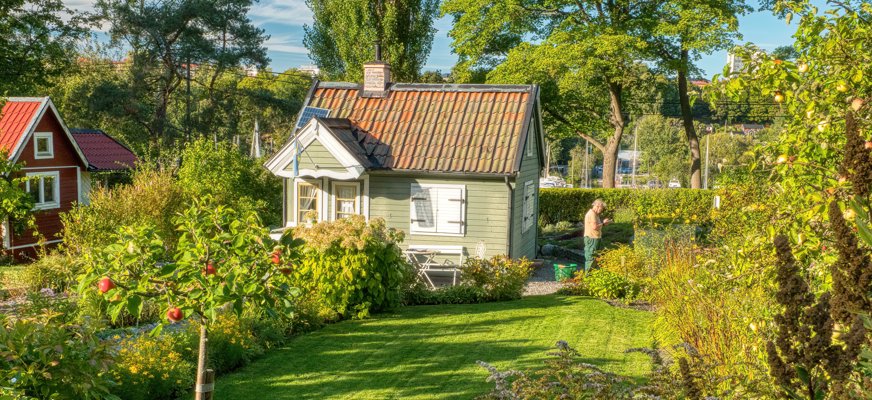 En man påtar i trädgården utanför ett litet grönt hus. Trädgården är lummig och har äppelträd, nyklippt gräsmatta och massor av blommor.