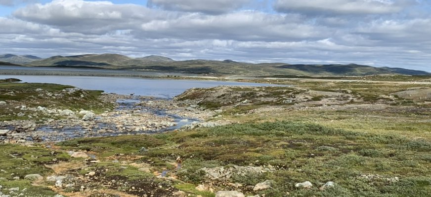 Naturvy över fjällandskap: karg delvis grönskande mark, sjö, blå sporadiskt molnig himmel.